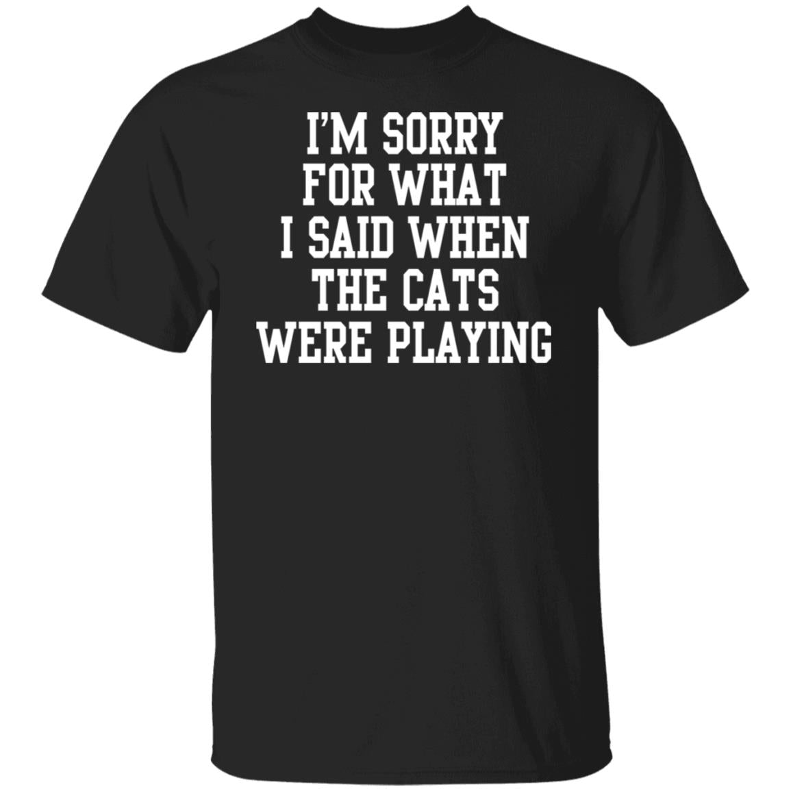 I'm sorry for what i said when the cats were playing shirt